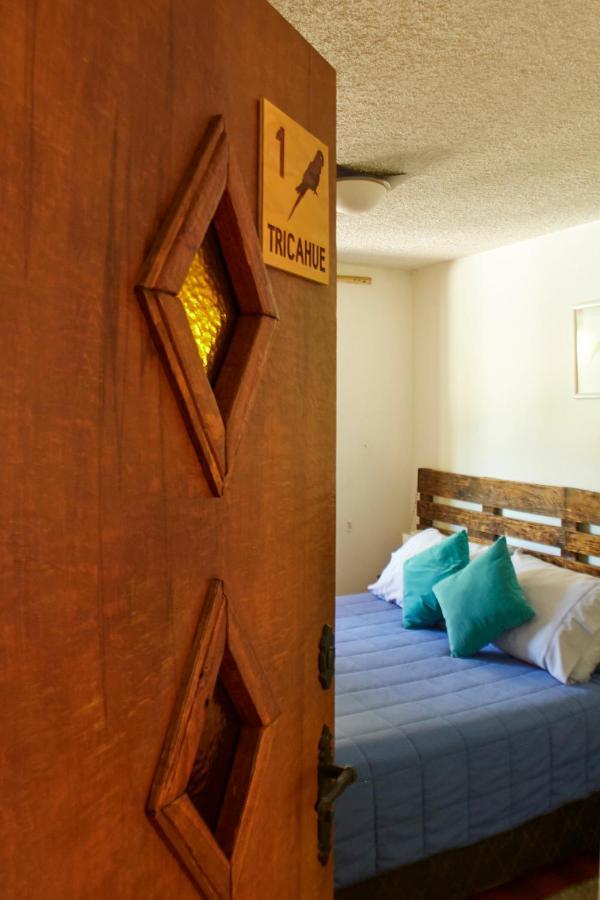 Hostal Aldea Colchagua Experience Santa Cruz Extérieur photo
